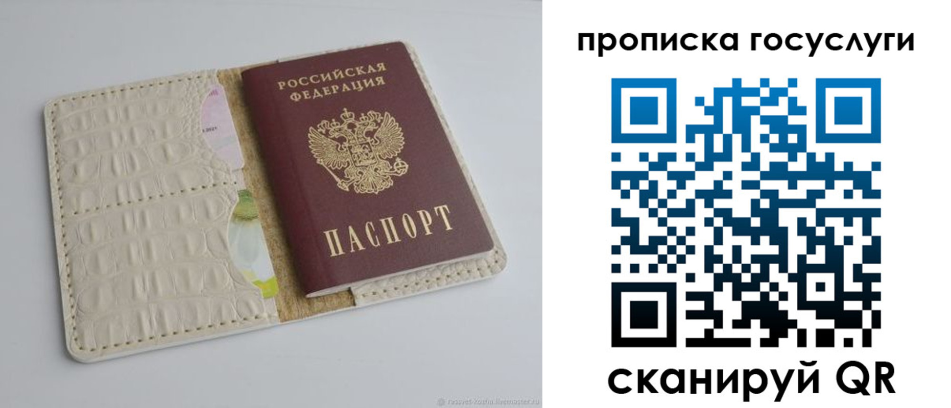 регистрация для школы в Кировске